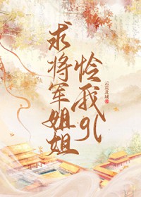 将军小姐小说
